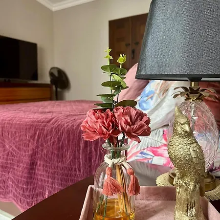 Solo Nyaraló *
